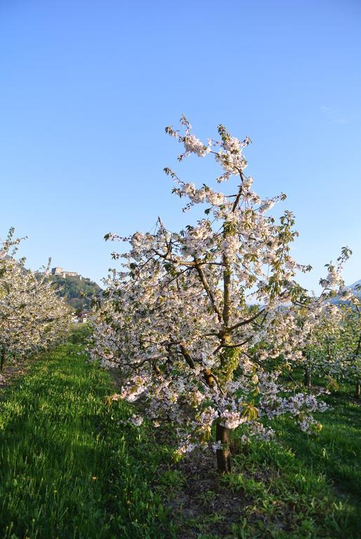 Agriturismo Bortolotti Villa Pergine Valsugana Buitenkant foto